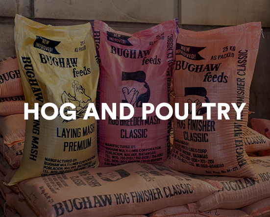 Bughaw Feeds Hog and Poultry Feeds