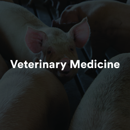 Veterinary Medicine